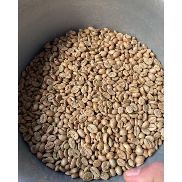 

greenbean fine robusta temanggung 1kg