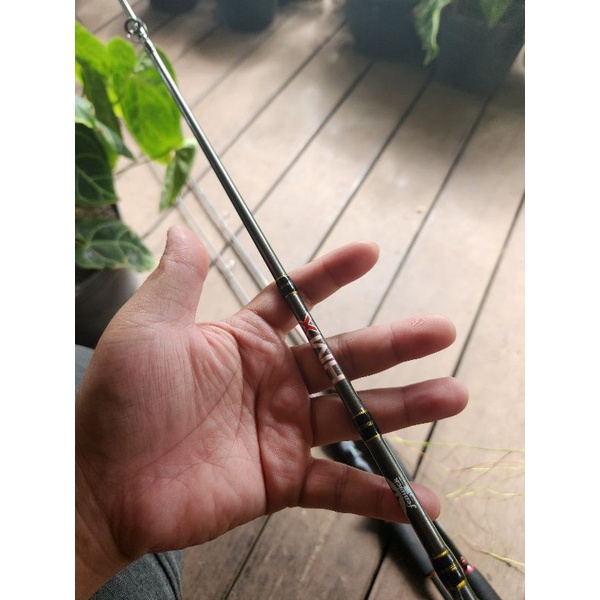 joran fenwick hmx 602ul