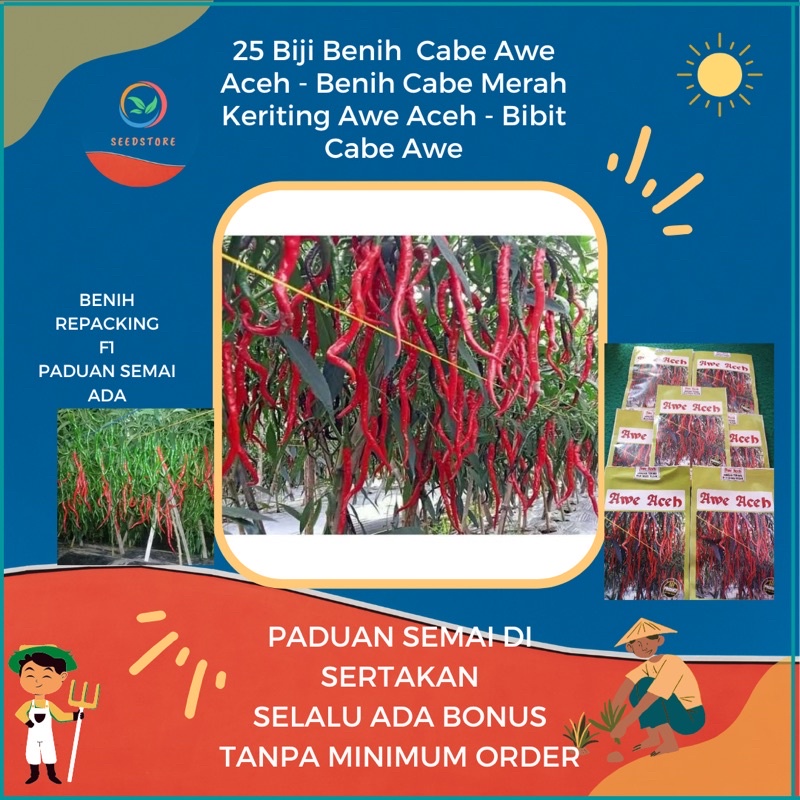 Benih Cabe Awe Aceh isi 25 BIJI- Benih Cabe Merah Keriting Awe Aceh - Bibit Cabe Awe