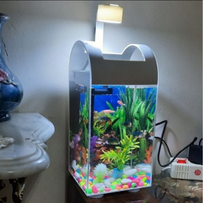 aquarium mini akrilik ikan hias ikan kecil
