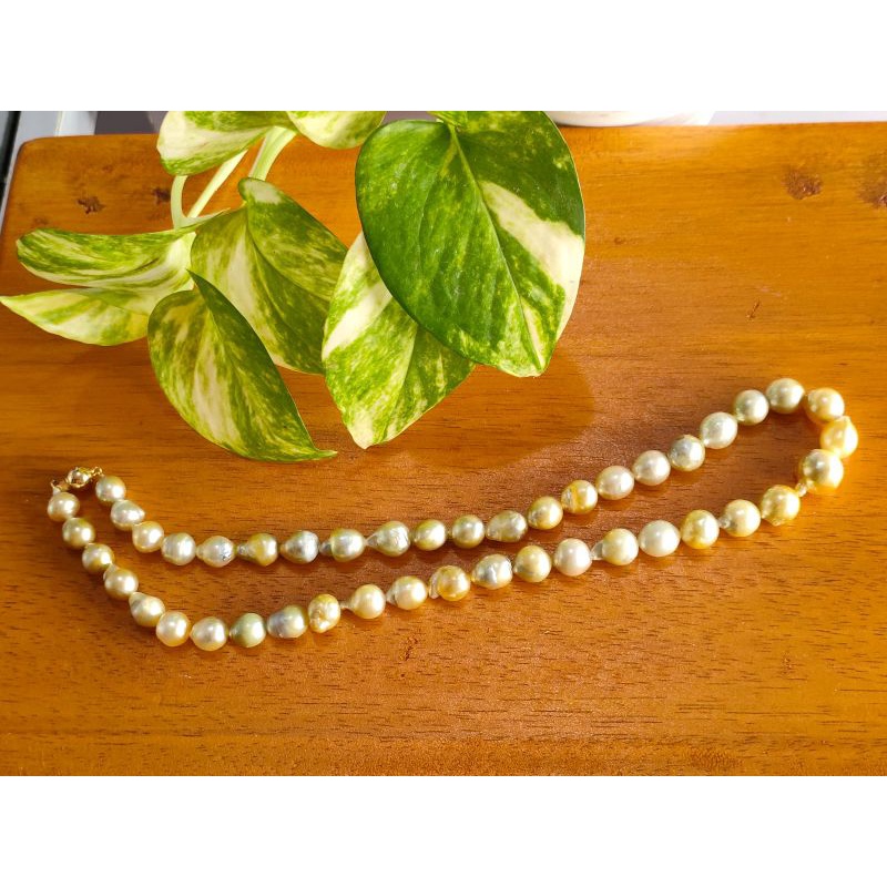 kalung full mutiara air laut asli original kalung mutiara laut murah kalung mutiara