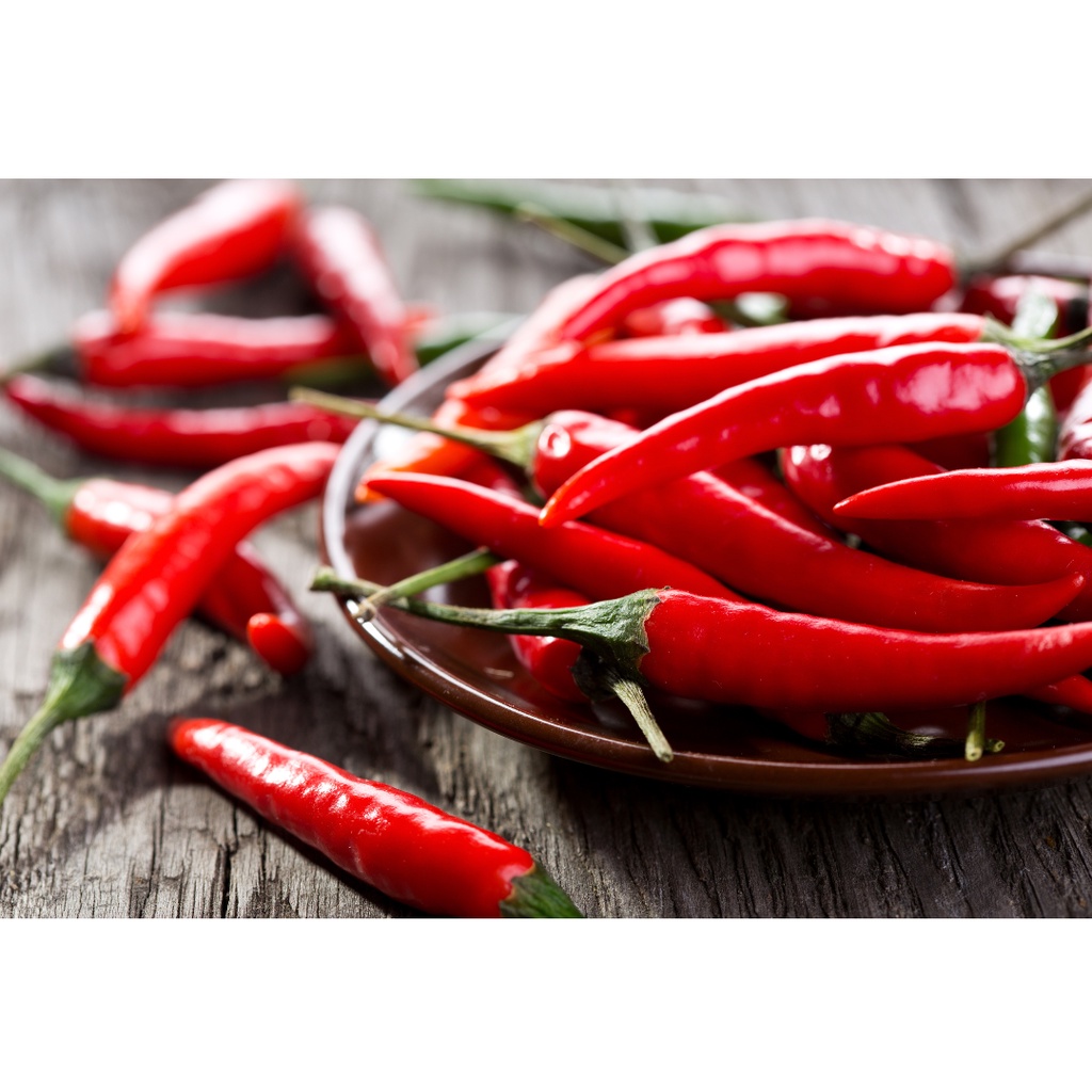 

Cabe Besar Organik - Bebas Pestisida - 100gram - 500gram