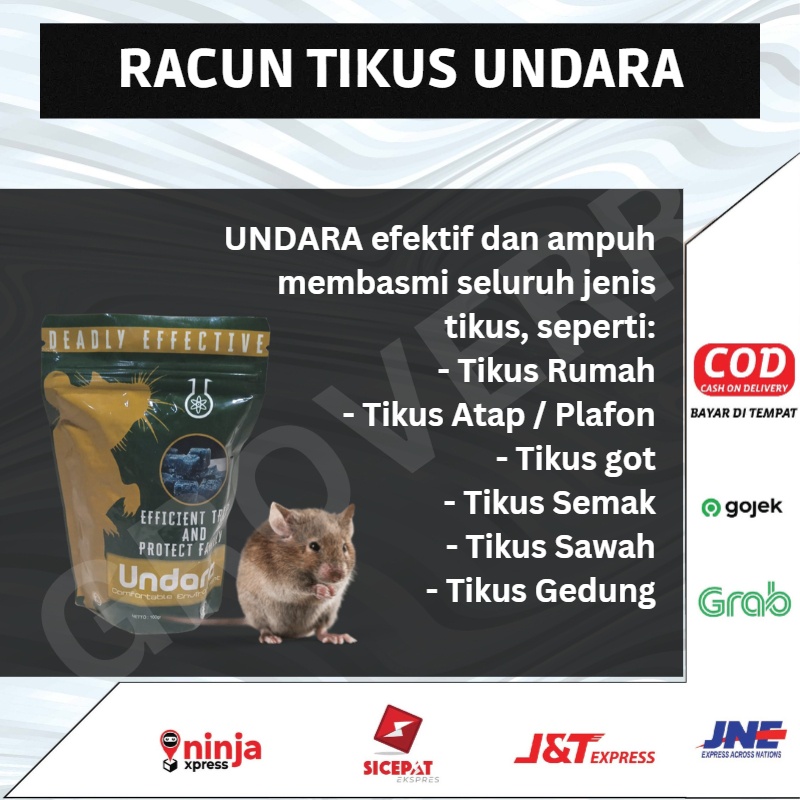 Racun Tikus Undara Original Racuntikus Jebakan Lem Pembasmi Alat Obat Pengusir Perangkap Anti Pembunuh Tikus Ampuh Mati Kering Tidak Meninggalkan Bau Bangkai Menyengat Umpan Tikus Racun Racoon Rat Pembasmi Tikus Rumah Tikus Sawah Tikus Got Kualitas Import