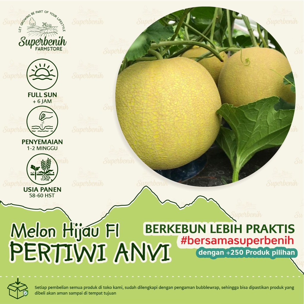 3 Biji - Benih Melon hijau PERTIWI ANVI F1 dataran rendah