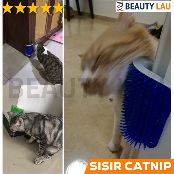 CATNIP KUCING SISIR CATNIP TEMPEL CATMINT MAINAN RELAKSASI KUCING MURAH DI RUMAH