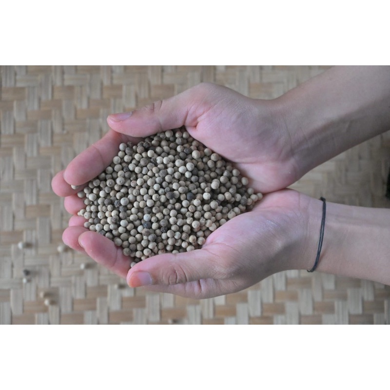 

Merica hitam 1/2 ons