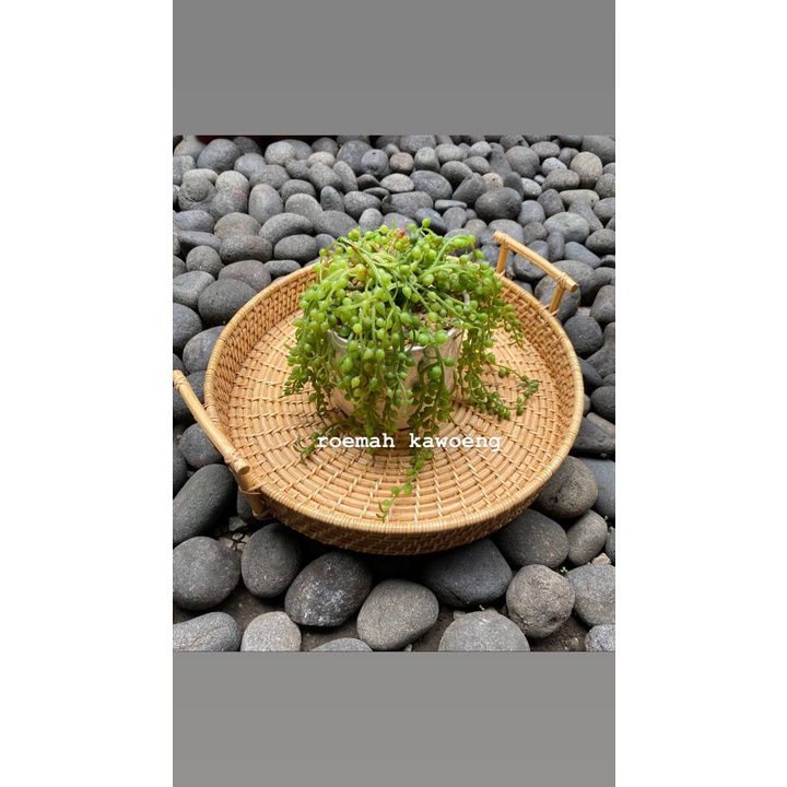 BAKI Rotan Nampan Anyaman Rotan