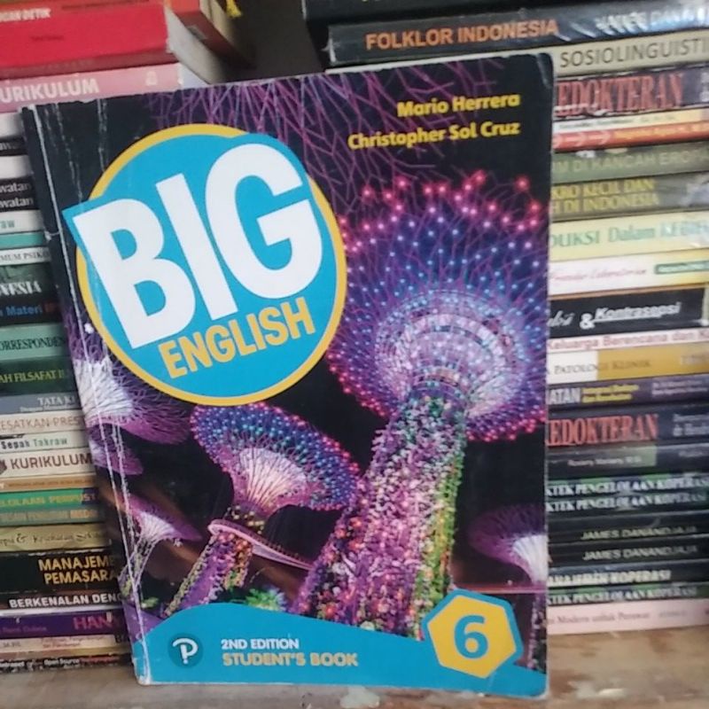big English2nd edition students book