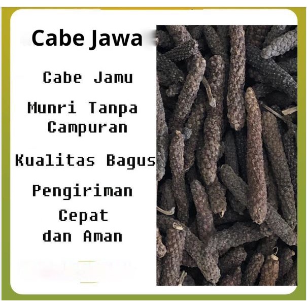 

Cabe Jawa Isi 50 Gram Kualitas Bagus / Cabe Jamu / Lempuyang / Bumbu Dapur / Rempah / Bumbu Masakan