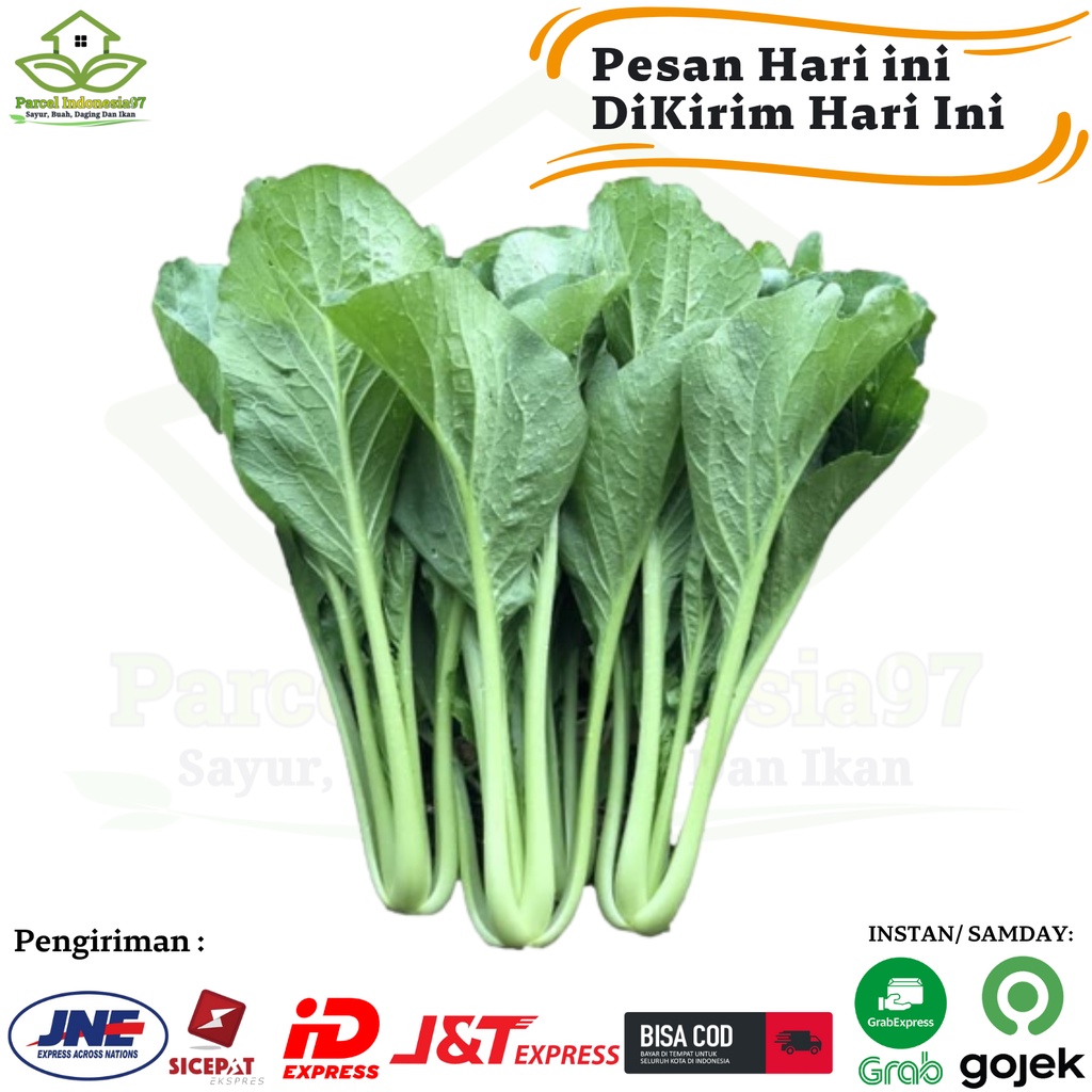 

Sawi hijau sosin caisim Per ikat pasar murah