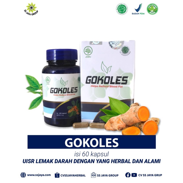 gokoles herbal kolesterol