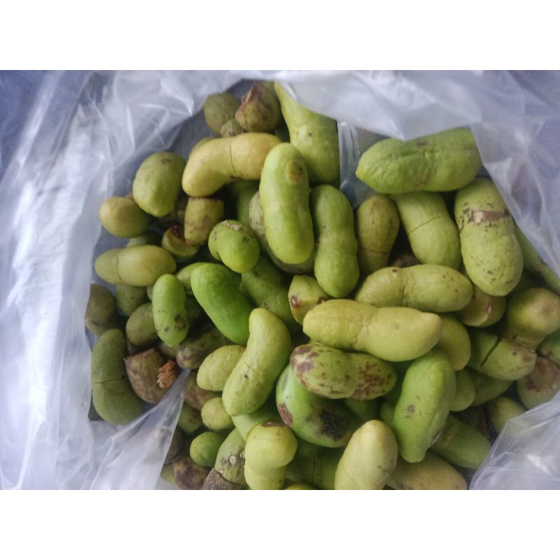 

500 gram biji juwet kering kupas