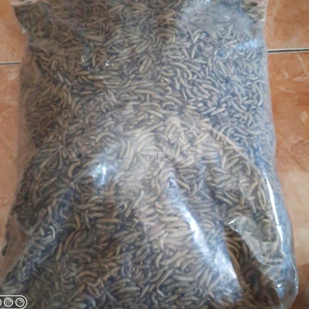 maggot bsf kering 1kg / manggot oven / manggot bsf