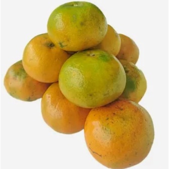 

Jeruk madu Buah Buahan segar Surabaya