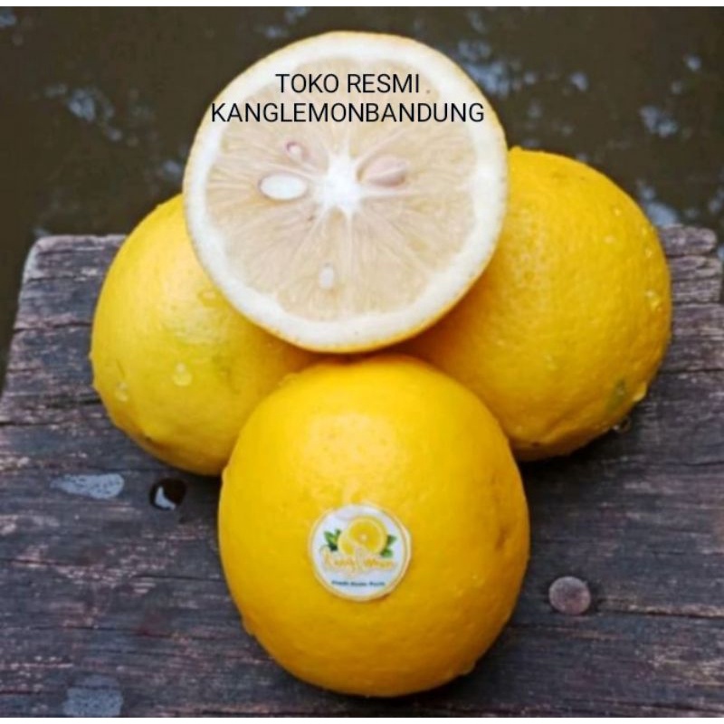 

JERUK LEMON CALIFORNIA 1 KG 9-10 BUAH