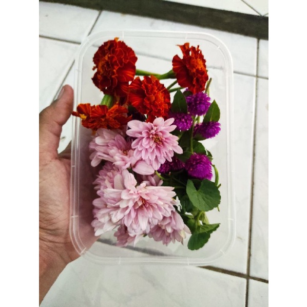 

Edible Flower Mix