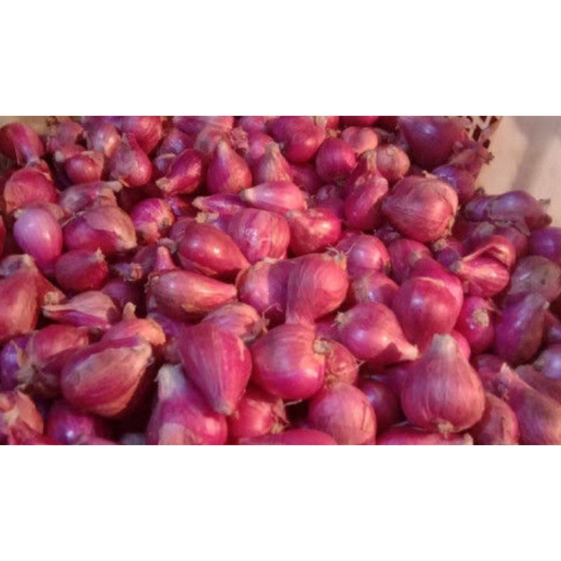 

bawang merah super 500 gr