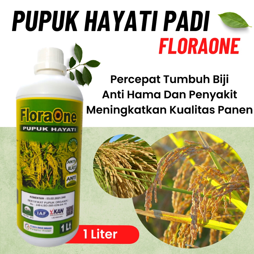 Pupuk Cair Penambah Bobot Padi, Pupuk Hayati Padi Anti Hama Hawar Daun, Pupuk Pelebat Tanaman Padi