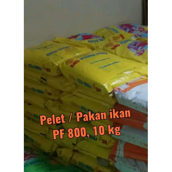 Pelet Pakan ikan PF 800, 10 kg, utk Benih Lele Nila Gurame Gabus A