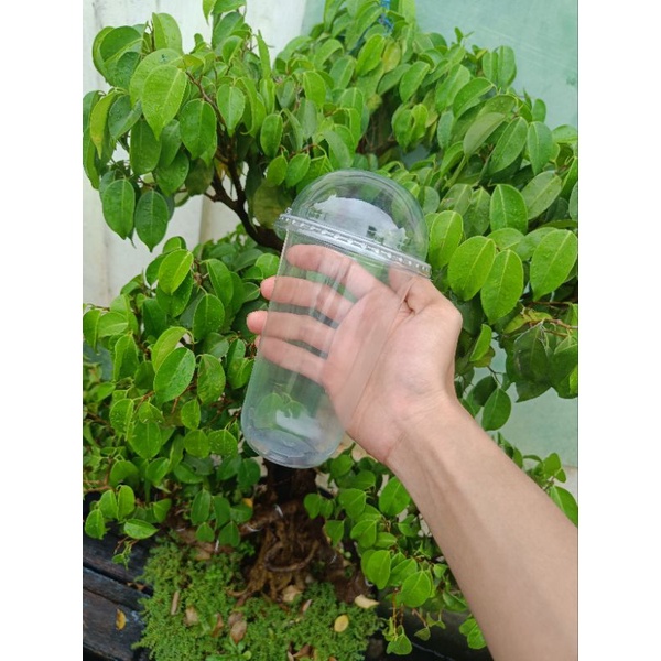 GELAS PLASTIK CUP PP 18OZ OVAL + TUTUP CEMBUNG