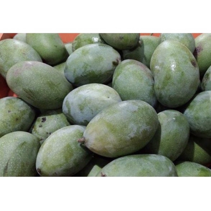 

FLASESALE PROMO MANGGA MANALAGI MURAH MERIAH 1KG ISI 5-8