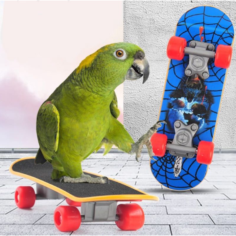 Hamtoro Skateboard Mainan Burung/Hamster Lucu Untuk Foto