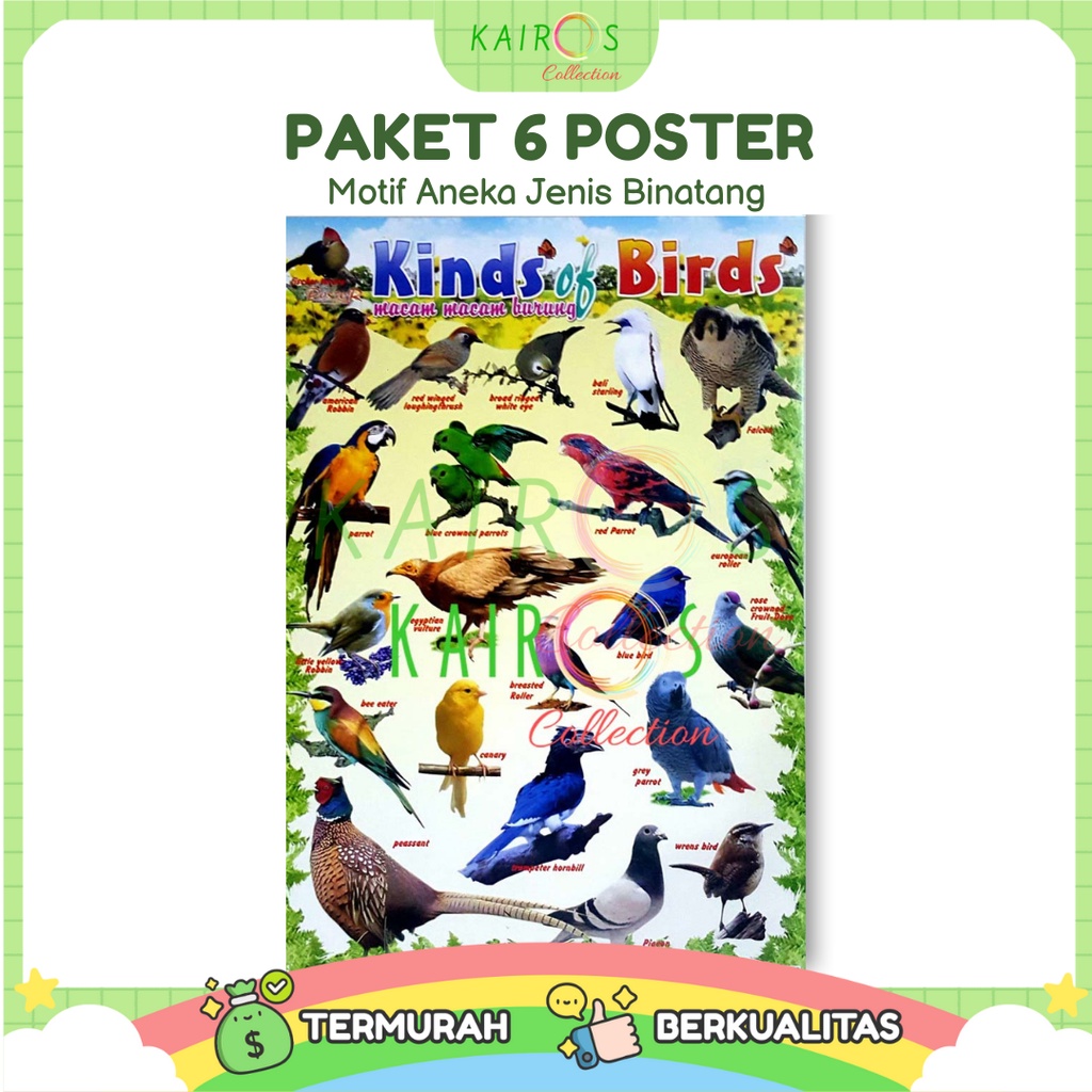 Poster Anak Edukasi Belajar Binatang Paket Isi 6 Pcs