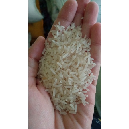 

Beras Banjar/1 Liter