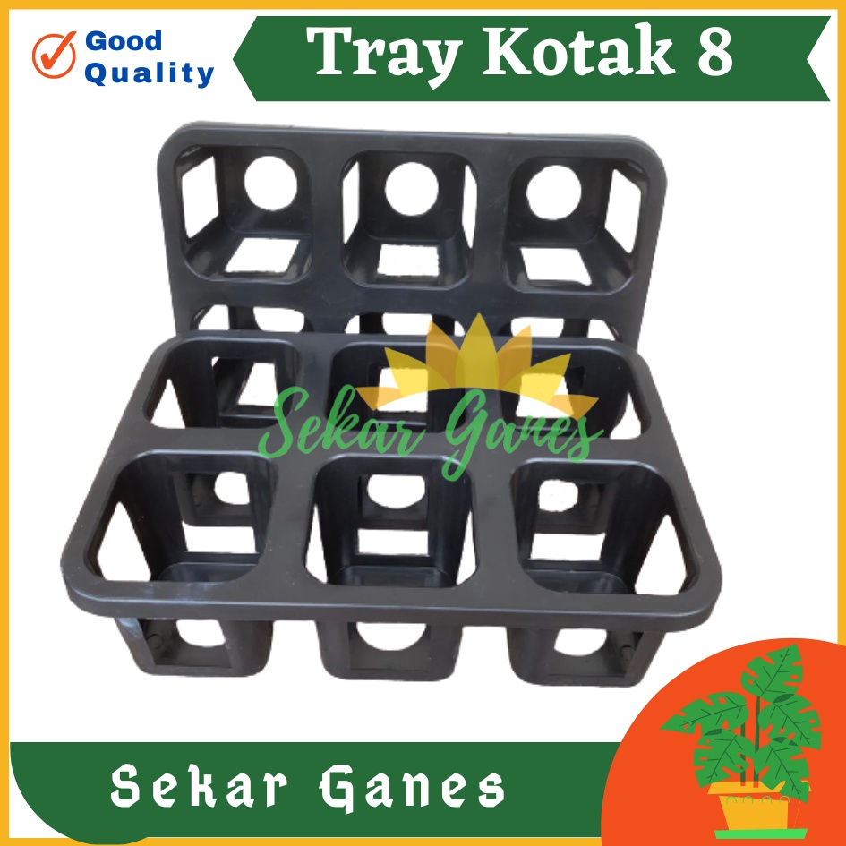 PROMO MURAH Tray Pot Kotak 8 cm Warna Hitam Tray Semai Bibit TRYPOT KOTAK 8 cm NKT 8 cm NKT JUOSS 8 Tray Semai 200 105 50 128 72 288 Lubang Padi Tutup Tebal-Tray pot nkt kotak 8cm (tanpa pot) | nkt kotak 8cm | tray semai bibit