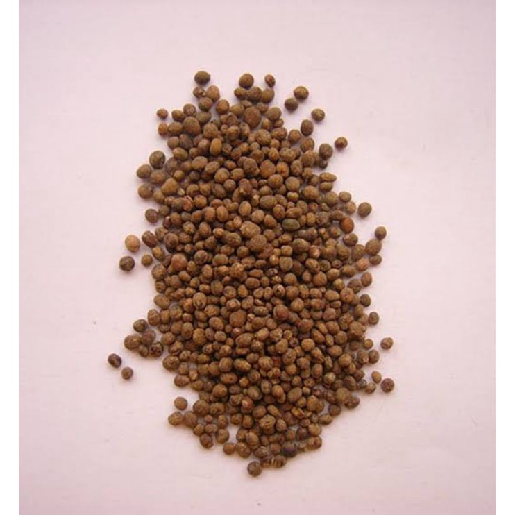 

1KG 1 KG 1000 G GR GRAM 急性子 JI XING ZI GARDEN BALSAM SEED ROSE BALSAM QUICK-TEMPER SEED SEMEN IMPATIENTIS