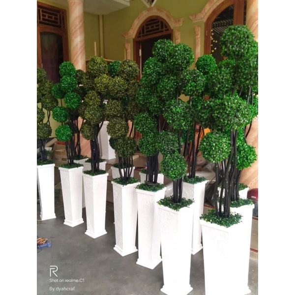 GRASBOLL BONSAI BUNGA POJOKAN