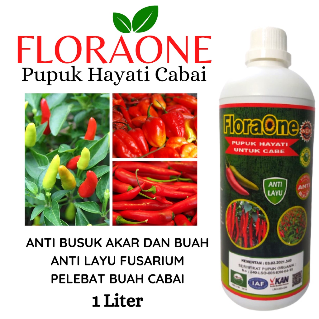 Pupuk Cabe Anti Rontok Keriting, Pupuk Cabe Rawit Lebat, Obat Antraknosa Pada Cabai