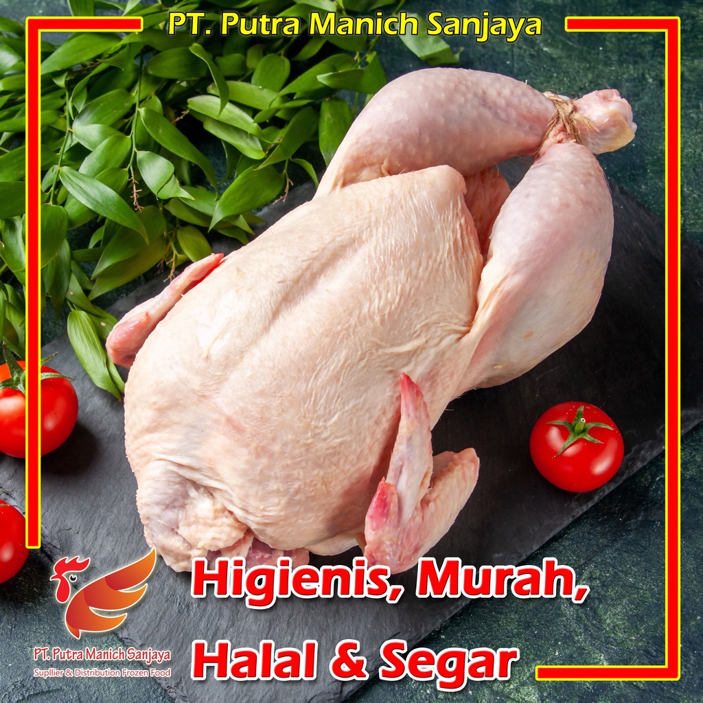 

Ayam Frozen Ukuran 1,1 Kg