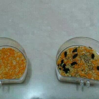 egg food lovebird murni (pengganti kangkung dan jagung)