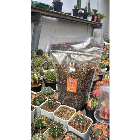 Sekam bakar +- 2 liter