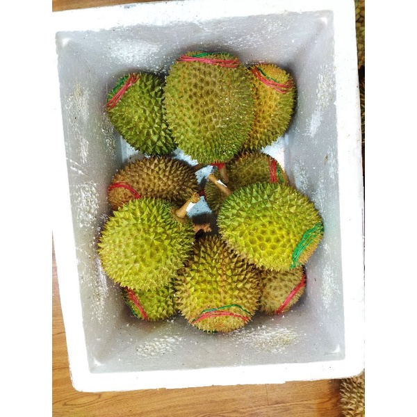 

Durian musangking fresh super manis original | 1 pcs