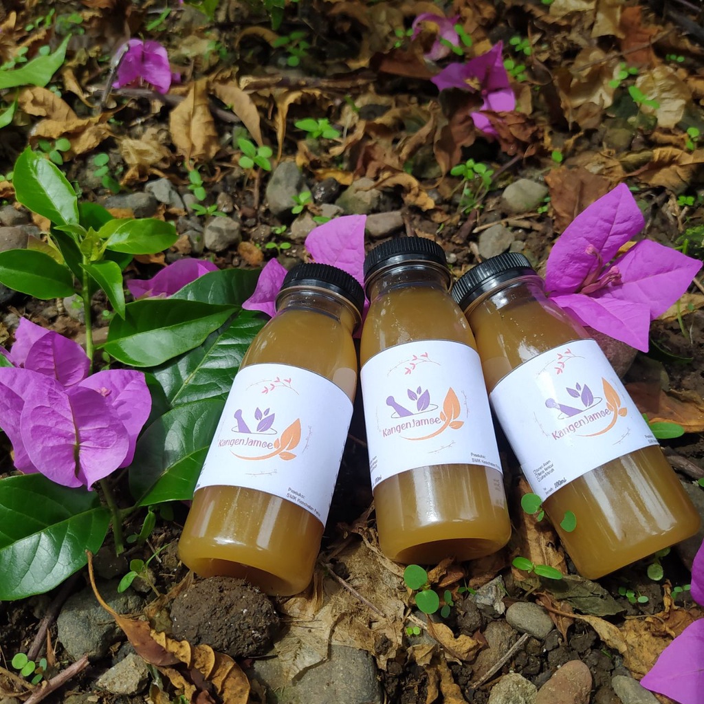 

Minuman Jamu Beras kencur