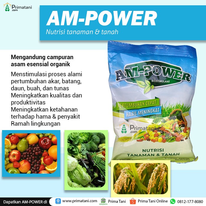 Nutrisi Tanaman Lengkap Am Power kemasan 200 Gram