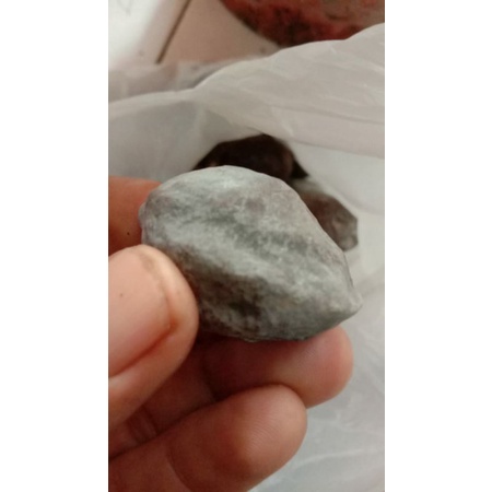 muncang adu anak jawa marjudi