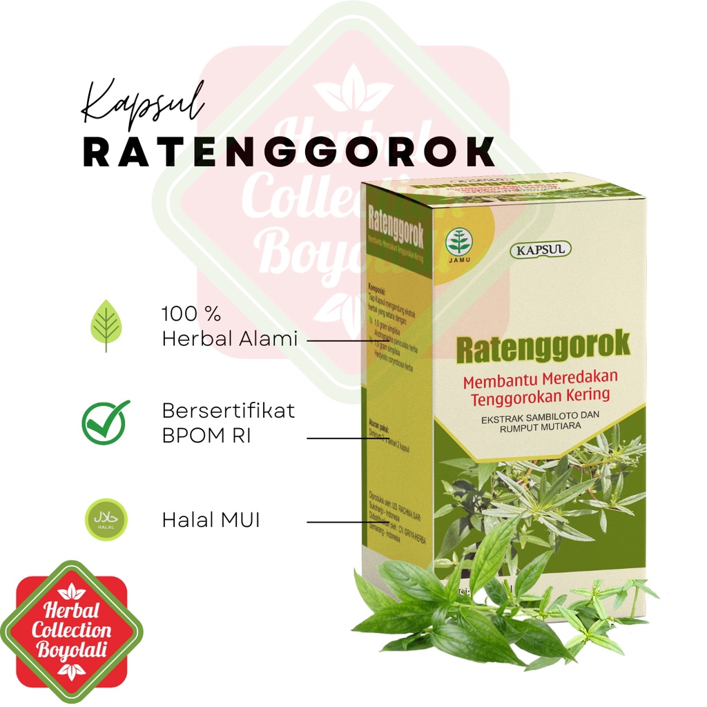 Kapsul Ratenggorok herbal sambiloto plus kumis kucing untuk demam dan radang tenggorokan Griya Herba