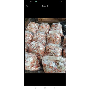 

BAYI KEPITING FRESH dari Nelayan