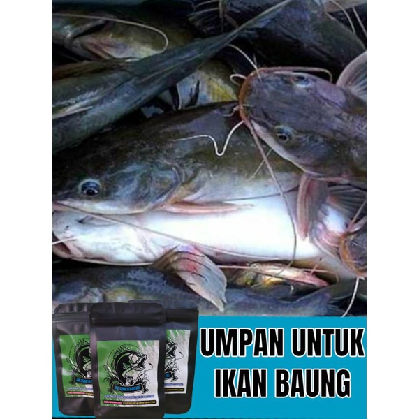 Umpan Ikan Baung Paling Jitu 30gram