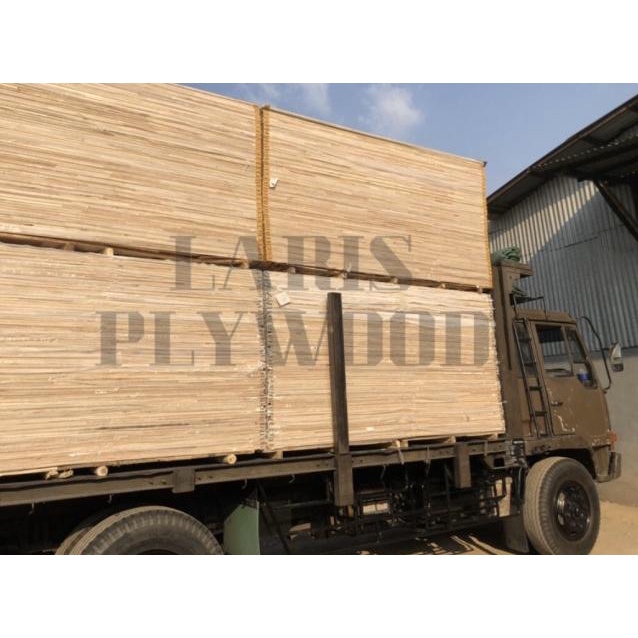 Triplek Palem 12mm / Multiplek Palem 12mm