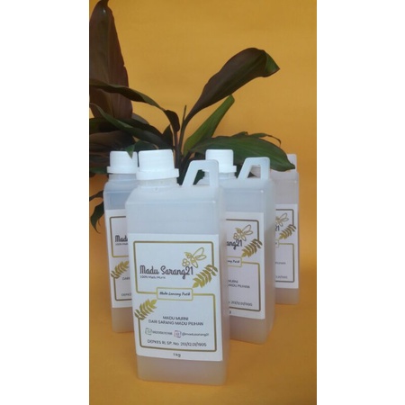 

Madu Lanceng Putih 1 kg