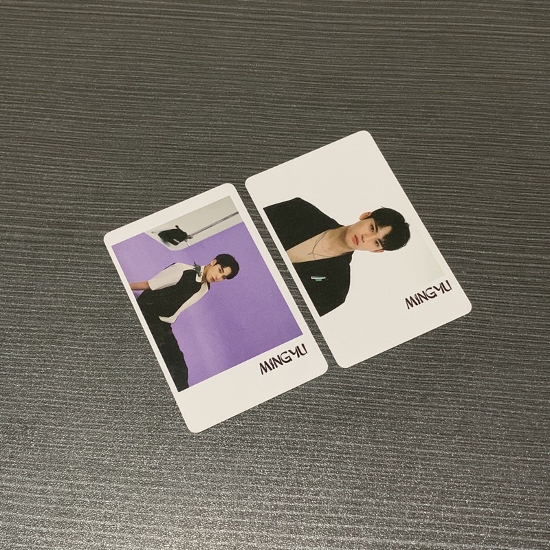 mingyu wonwoo powercircles magazine