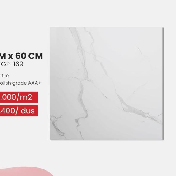 granite tile 60 x 60 glazed Engress carara white