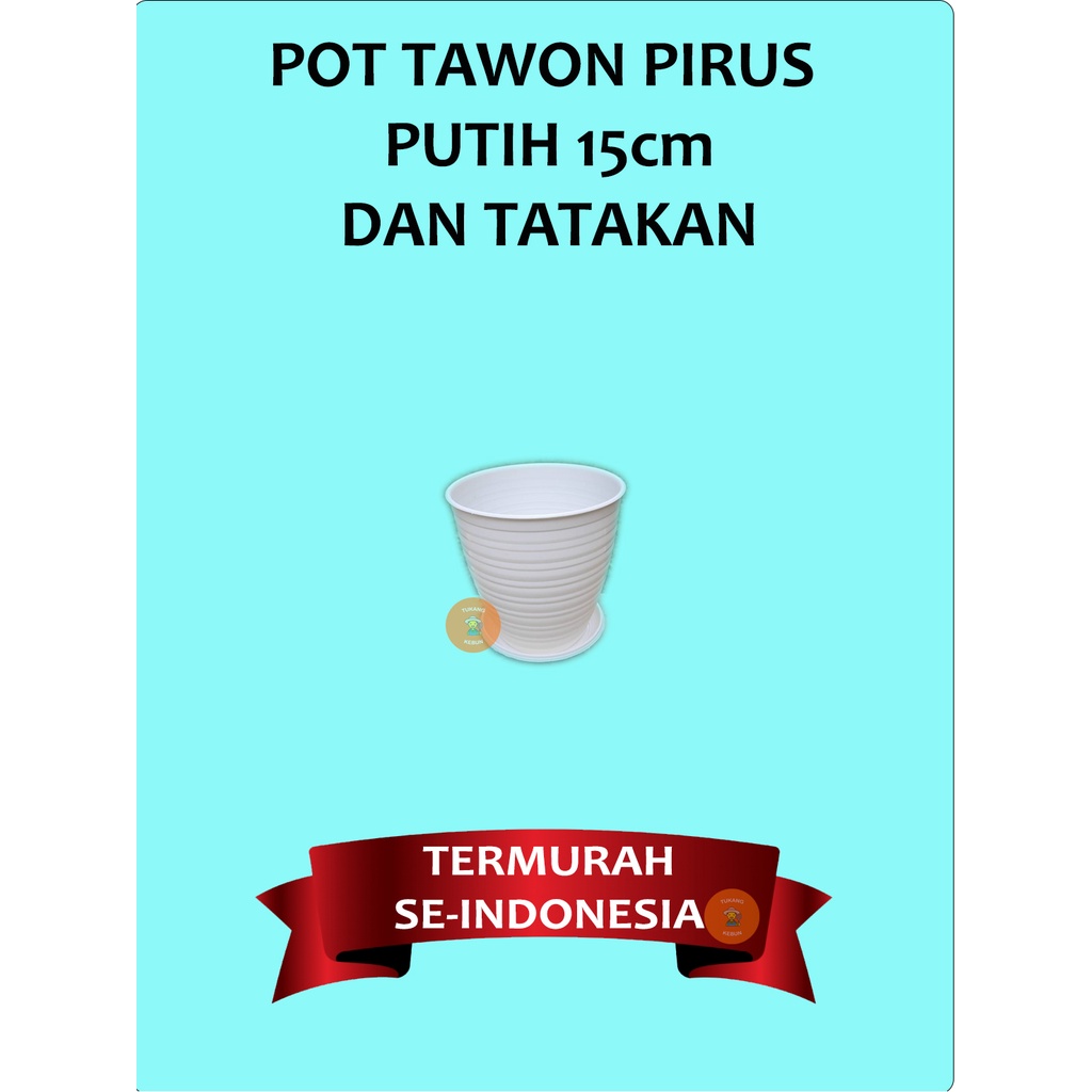 1 Set Pot Bunga Madu Tinggi Tawon Pirus Tirus 15cm Putih dan Tatakan