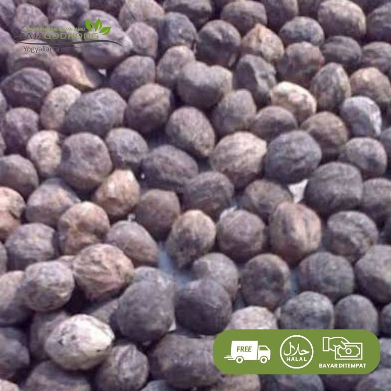 

kemiri kering utuh berkualitas 500 gram dan 1 kg