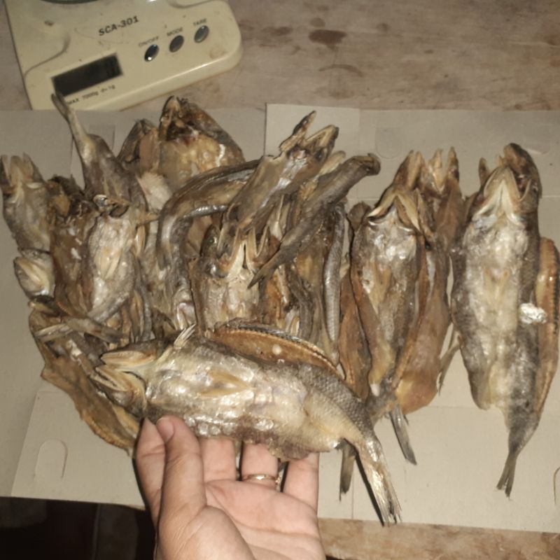 

ikan asin jenggelek