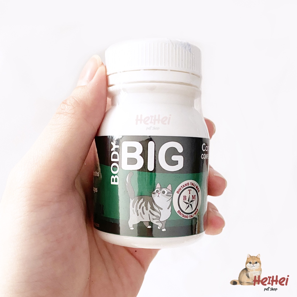 Body Big Cat Fattener Powder 50 gr - Vitamin Serbuk Penggemuk Kucing